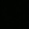 biawak_10.25.ell
