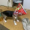 kazu120211