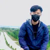 radiva_xsa