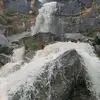 usershikenicng