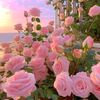 cutehuyaar429