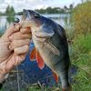 fish_ing777