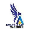 Triangleskytelomoyo