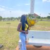 haryomide_