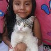gatitaarias