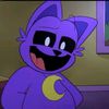 catnap50xd