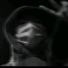 dino_dan_5