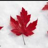 choudhary.ca