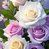 user7080718511921