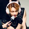 kntowoo