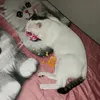 jasneytapias
