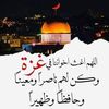 gamouh6