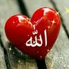 user7764172882514