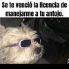 qroojose