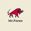 mrforex31000