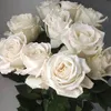 user1230654103695