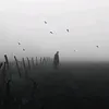 chorniy_twoakk