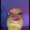 ti_ti53