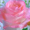 user7lgtoh24dl