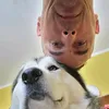 Milan & Loki