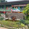 phakwan168
