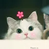 antrieu.phuongnghi