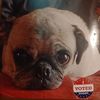 charlierandall639