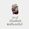 user8023113263812