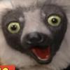 zoboomafoo_unofficial