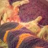 gatos.videos1