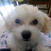 roky_044