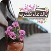 alamal_12345ms