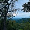 All_about_nature