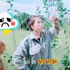 daothiphinh