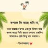 user89030467033636