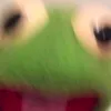 just_an_innocent_frog