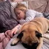 lorrainebillingt7