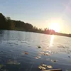 tjenarekalle