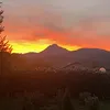 cusigno