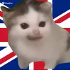 micrase1yt