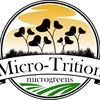 microtrition