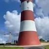 janhawkins881