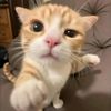 boxbox.l
