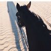 nnoo77_502
