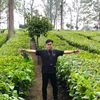 hendra.stiker