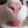 cutieepotato3
