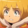 arminarlert080