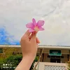 thantnaythway