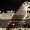 عبداللهـ الششاطري 😇👉