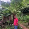 bistarajkumar8
